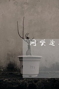 网贷逾期十万会判刑吗 网贷逾期十万会判刑吗
