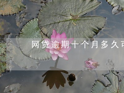 网贷逾期十个月多久可以办信用卡