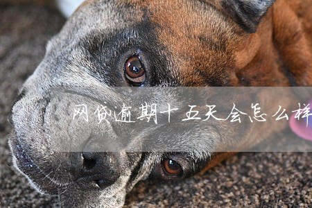 网贷逾期十五天会怎么样 网贷逾期十五天会怎么样