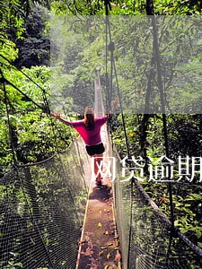 网贷逾期十五天利息怎么算 网贷逾期十五天利息怎么算