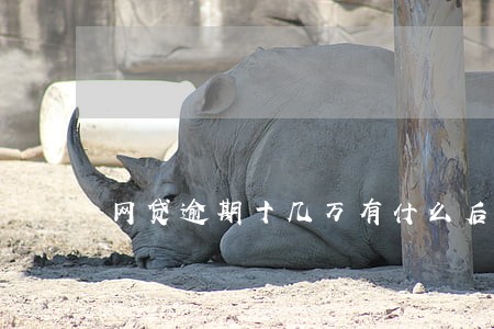网贷逾期十几万有什么后果 网贷逾期十几万有什么后果