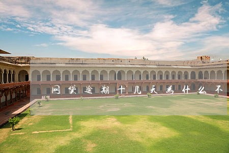 网贷逾期十几天为什么不打电话了 网贷逾期十几天为什么不打电话了