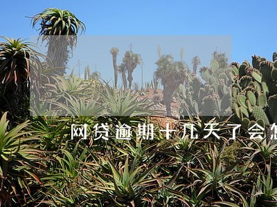 网贷逾期十几天了会怎样 网贷逾期十几天了会怎样