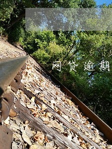 网贷逾期十几天要紧吗