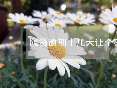 网贷逾期十几天让全额还款 网贷逾期十几天让全额还款