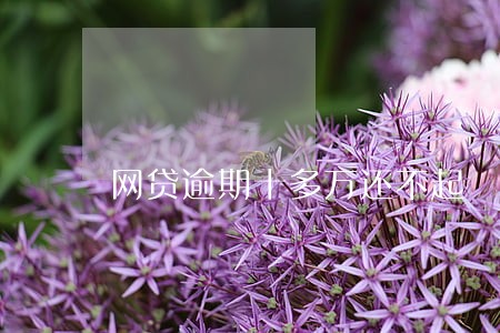 网贷逾期十多万还不起 网贷逾期十多万还不起