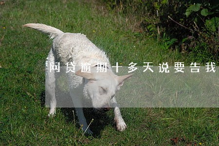 网贷逾期十多天说要告我