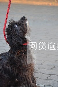 网贷逾期十天 网贷逾期十天
