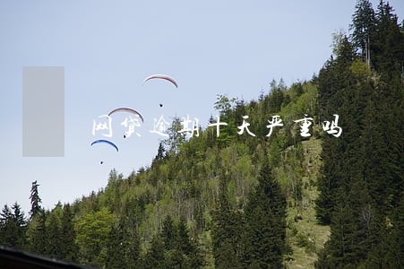 网贷逾期十天严重吗 网贷逾期十天严重吗