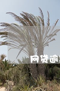 网贷逾期十天会终止分期吗 网贷逾期十天会终止分期吗