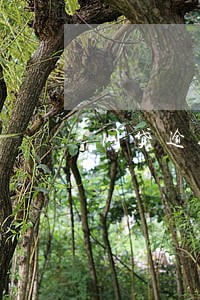 网贷逾期十天收到恐吓信息 网贷逾期十天收到恐吓信息