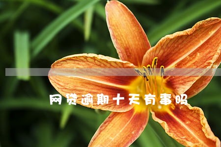 网贷逾期十天有事吗 网贷逾期十天有事吗