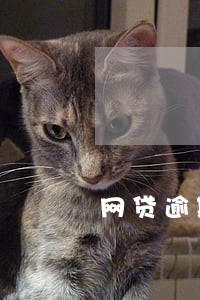 网贷逾期十天经侦大队 网贷逾期十天经侦大队