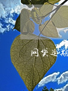 网贷逾期十天说上门 网贷逾期十天说上门