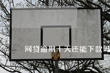 网贷逾期十天还能下款吗 网贷逾期十天还能下款吗