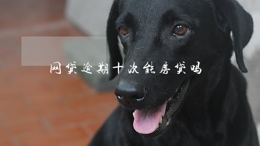 网贷逾期十次能房贷吗 网贷逾期十次能房贷吗