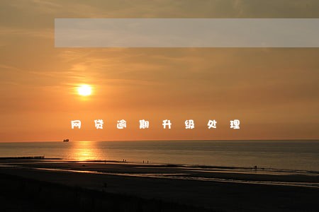 网贷逾期升级处理 网贷逾期升级处理
