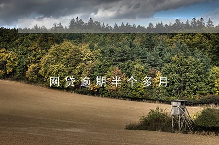网贷逾期半个多月 网贷逾期半个多月
