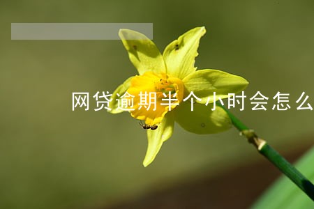 网贷逾期半个小时会怎么样 网贷逾期半个小时会怎么样