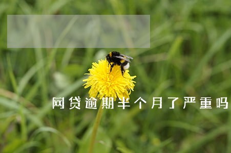 网贷逾期半个月了严重吗 网贷逾期半个月了严重吗