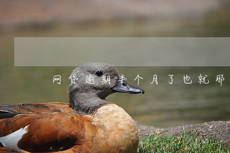 网贷逾期半个月了也就那么回事 网贷逾期半个月了也就那么回事