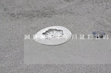 网贷逾期半个月就扣钱吗 网贷逾期半个月就扣钱吗