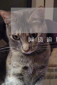 网贷逾期半个月左右打电话给家人