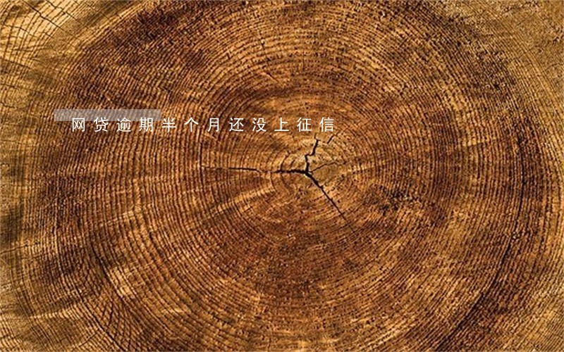 网贷逾期半个月还没上征信