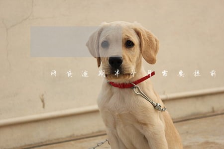网贷逾期半个月需要提前结清么 网贷逾期半个月需要提前结清么