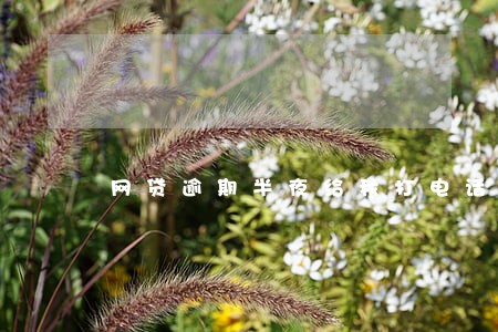网贷逾期半夜给我打电话 网贷逾期半夜给我打电话