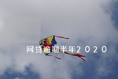 网贷逾期半年2020