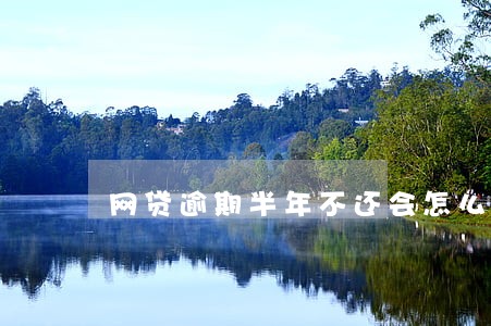 网贷逾期半年不还会怎么样 网贷逾期半年不还会怎么样