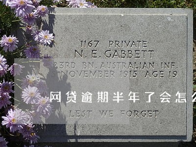 网贷逾期半年了会怎么样