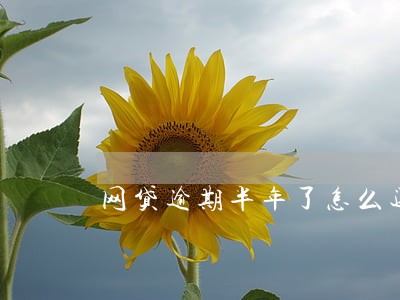 网贷逾期半年了怎么还有电话 网贷逾期半年了怎么还有电话