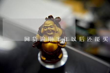 网贷逾期半年以后还能买车吗 网贷逾期半年以后还能买车吗