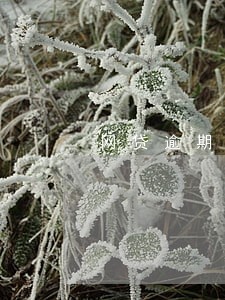 网贷逾期半年会上门么 网贷逾期半年会上门么