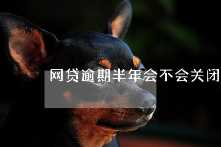 网贷逾期半年会不会关闭还款通道 网贷逾期半年会不会关闭还款通道