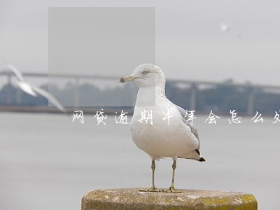 网贷逾期半年会怎么处理 网贷逾期半年会怎么处理