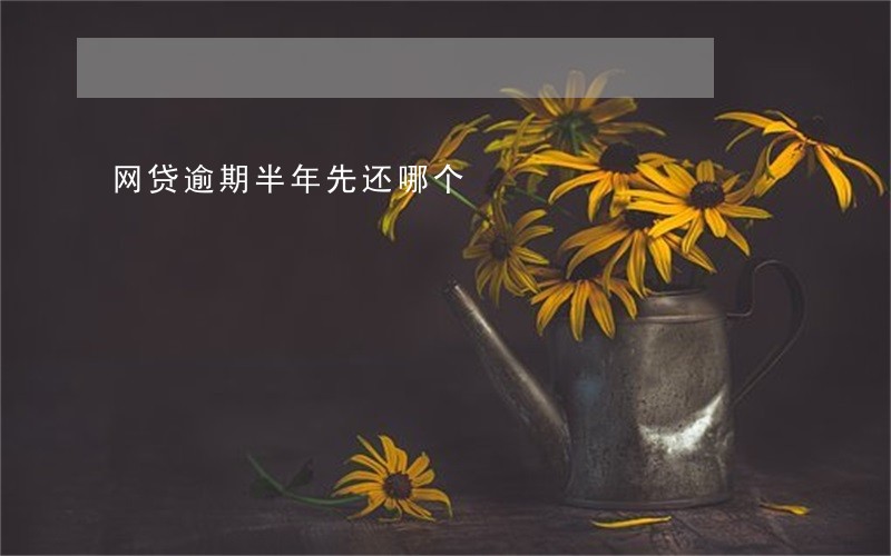 网贷逾期半年先还哪个 网贷逾期半年先还哪个