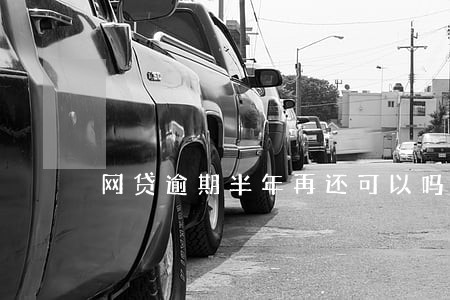 网贷逾期半年再还可以吗 网贷逾期半年再还可以吗