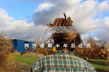 网贷逾期半年后还完 网贷逾期半年后还完