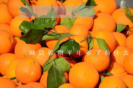 网贷逾期半年多了有什么影响 网贷逾期半年多了有什么影响