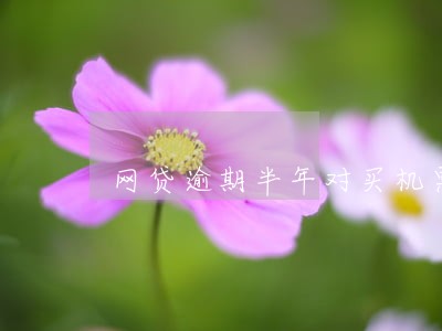 网贷逾期半年对买机票高铁票 网贷逾期半年对买机票高铁票