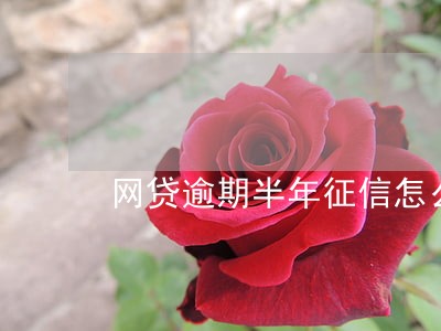 网贷逾期半年征信怎么样 网贷逾期半年征信怎么样