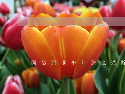 网贷逾期半年怎么消除 网贷逾期半年怎么消除