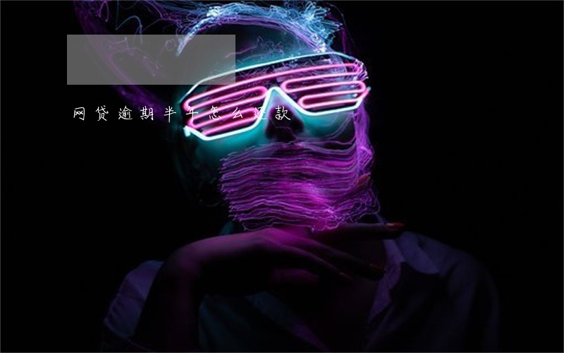 网贷逾期半年怎么还款 网贷逾期半年怎么还款