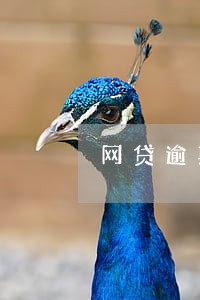 网贷逾期半年恢复不了了 网贷逾期半年恢复不了了