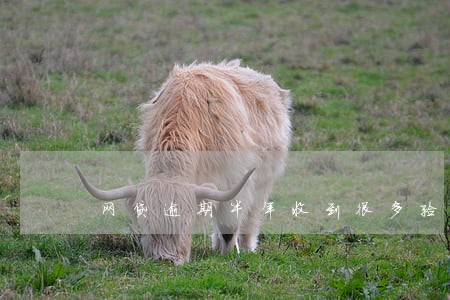 网贷逾期半年收到很多验证短信 网贷逾期半年收到很多验证短信
