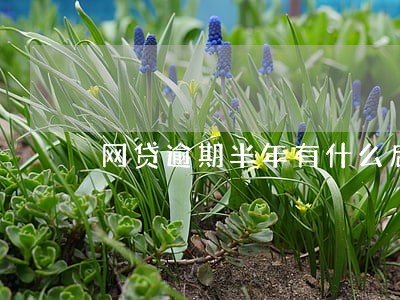 网贷逾期半年有什么后果 网贷逾期半年有什么后果
