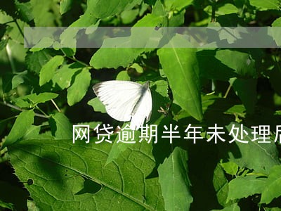 网贷逾期半年未处理后果 网贷逾期半年未处理后果